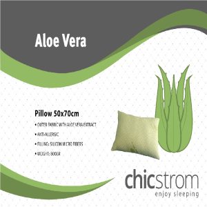 1670923882 ALOE VERA 1
