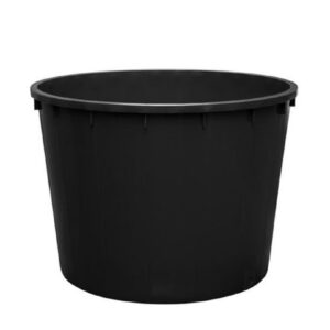 101556