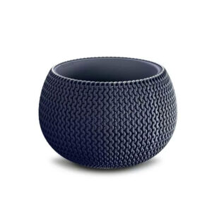 Splofy Bowl anthrace