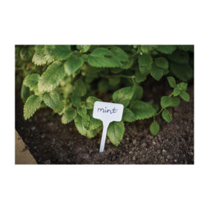 5cm TYE1555