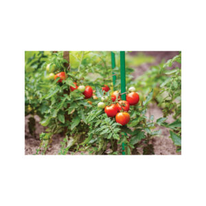 6cmX210cm TYP16210