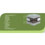 biochicplus2