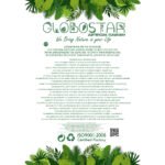 GloboStar® Artificial Garden HANGING EUCALYPTUS 20808 Τεχνητό Διακοσμητικό Κρεμαστό Φυτό Ευκάλυπτος Μ16 x Π9 x Υ105cm - Image 4