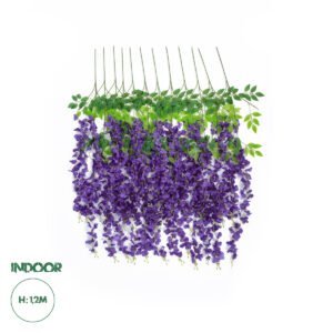 21509 SET OF 12 PIECES