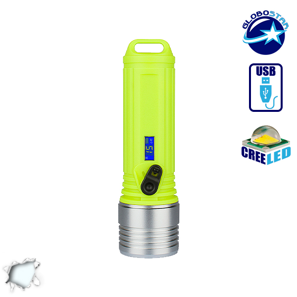 https://www.ledking.gr/photos/master/products/201804/globostar_flash_light_58_a_1.jpg
