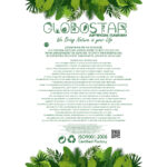 GloboStar® Artificial Garden MANDRITE 20556 Διακοσμητικό Κεραμικό Κασπώ Γλάστρα - Flower Pot Λευκό με Χρυσό Μεταλλικό Πλέγμα και Καφέ Ξύλινη Βάση Μ18 x Π10 x Υ18cm - Image 19