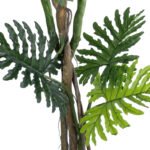 GloboStar® Artificial Garden PHILODENDRON 20685 Τεχνητό Διακοσμητικό Φυτό Φυλλόδενδρο Υ180cm - Image 12
