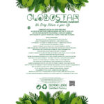 https://www.globostar.gr/photos/master/products/202407/20832_4.jpg
