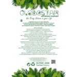 https://www.globostar.gr/photos/master/products/202407/20848_4.jpg
