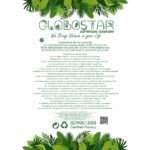 GloboStar® Artificial Garden HANGING BARLEY 20859 Τεχνητό Διακοσμητικό Κρεμαστό Φυτό Κριθάρι Μ26 x Π15 x Υ81cm - Image 4