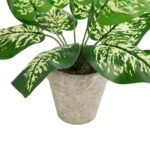 GloboStar® Artificial Garden DIEFFENBACHIA POTTED PLANT 20897 Διακοσμητικό Φυτό Διεφενμπάχια Φ40 x Υ33cm - Image 4