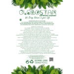 https://www.globostar.gr/photos/master/products/202407/20897_4.jpg