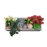 GloboStar® Artificial Garden SUCCULENT VARIUS PLANT POTTED 21033 Διακοσμητικό Φυτό Μίξ Μ29 x Π10 x Υ18cm - Image 4