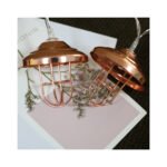 79810 Διακοσμητική Γιρλάντα Bronze Lamp 3 Μέτρα με Διακόπτη On/Off - 20 LED 2W DC 5V με USB & Διάφανο Καλώδιο IP20 Θερμό Λευκό 2700K Μ3m - Image 4
