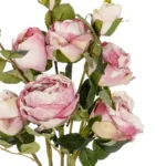 https://www.globostar.gr/photos/jpeg/master/products/202502/21083_3.webp