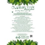 https://www.globostar.gr/photos/master/products/202502/7c177d_gr.jpg