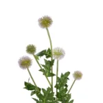 https://www.globostar.gr/photos/jpeg/master/products/202503/21366_3.webp