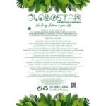https://www.globostar.gr/photos/master/products/202503/f54a13_en.jpg