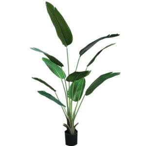 BANANA TREE NP1411_160 ΥΨΟΣ 160cm NewPlan