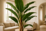 BANANA TREE NP017_240_22 ΥΨΟΣ 240cm NewPlan - Image 4