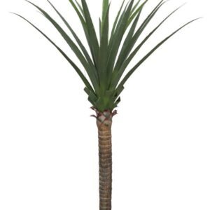 AGAVE TREE NP802_160 ΥΨΟΣ 160cm NewPlan