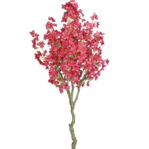 BOUGAINVILLEA NP0421_210 ΥΨΟΣ 210cm NewPlan