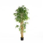BAMBOO NP0076_210 ΥΨΟΣ 210cm NewPlan