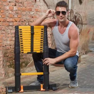 telescopic ladder veritas pro 2